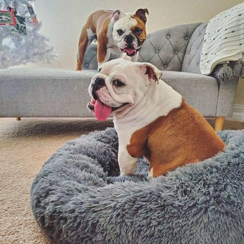 Donut Calming Pet Bed - Plush Washable Dog & Cat Nest 11 Coffee Cat Bed Pet Bed Dog Donut Nest Calming Deep Sleeping Soft Plush Kennel Washable - 80CM – photo 11