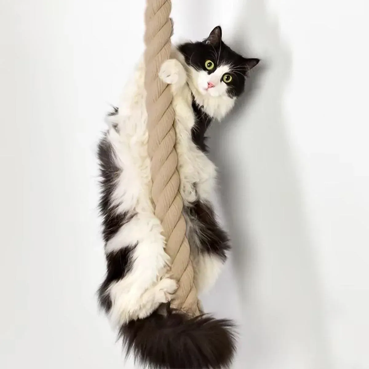 Cat Climbing Frame with Rope & Leash – Play Set 1 Cat Climbing Frame Rope Leash Jumping Platform for Cats Interactive Play Set – photo 7