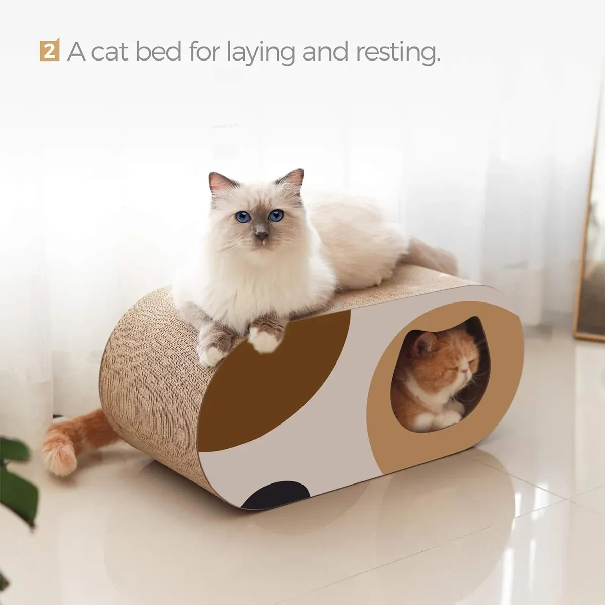 3-in-1 Cat Tunnel Scratcher & Bed - Play & Hide 5 Durable Cat Tunnel Scratcher Bed Combo Interactive Toy House For Kittens Pets – photo 5