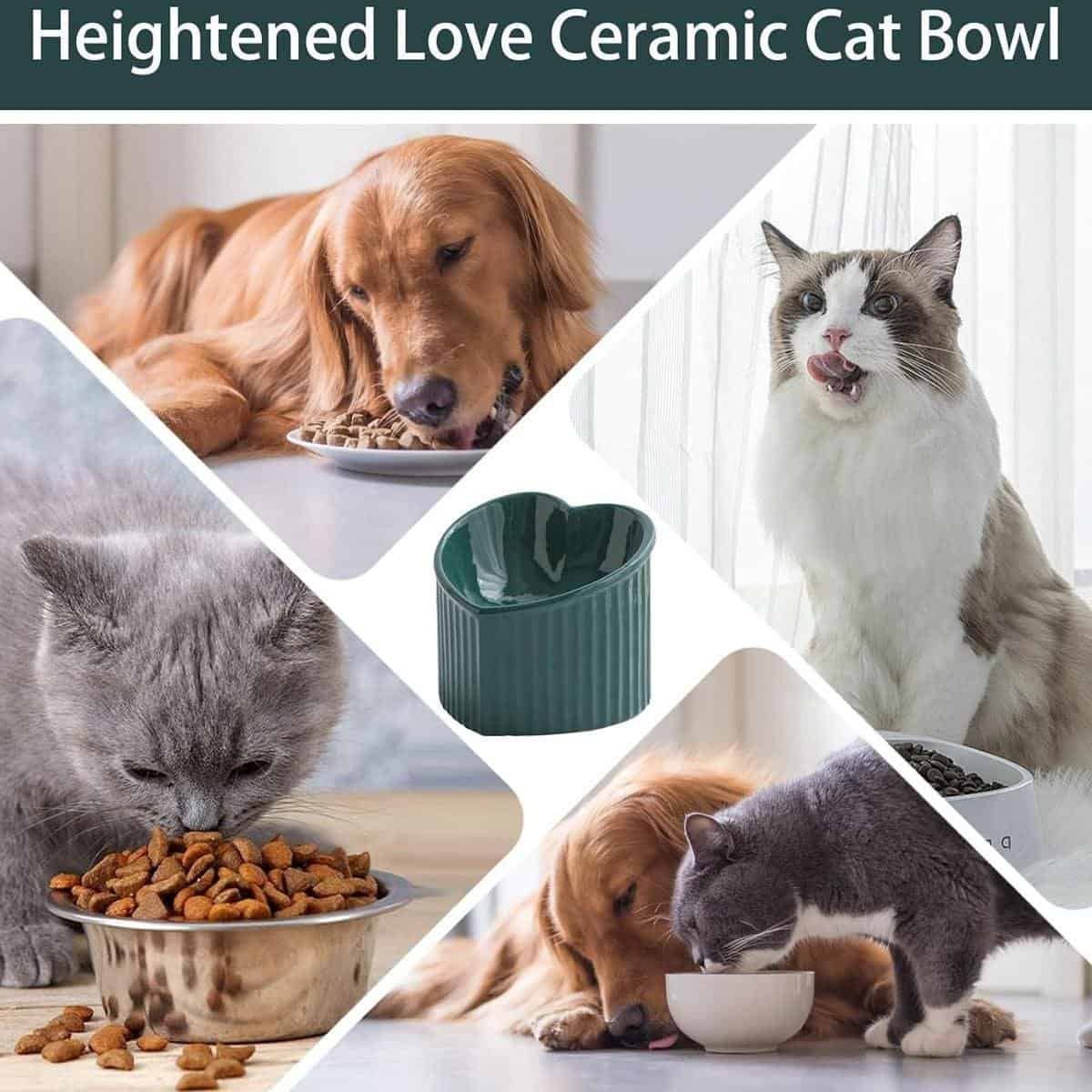 Raised Heart-Shaped Ceramic Cat Bowl 4 Love Shape Slanted Cat Bowl Ceramic Pet Bowl for Cats Food Water Feeding Dish - Green – photo 4