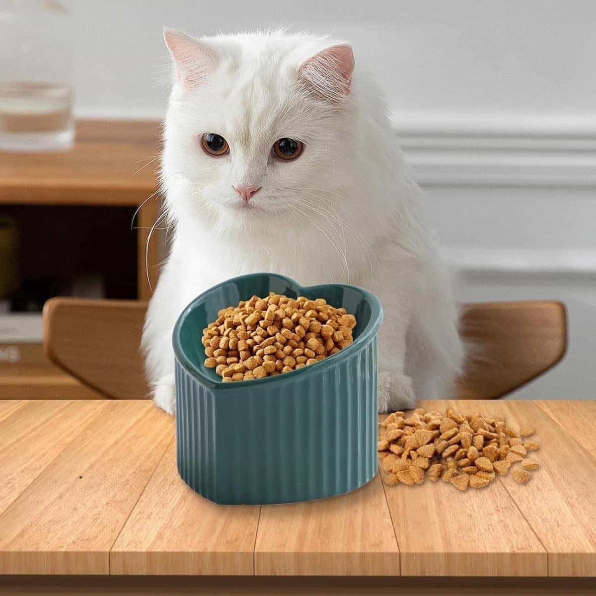 Raised Heart-Shaped Ceramic Cat Bowl 5 Love Shape Slanted Cat Bowl Ceramic Pet Bowl for Cats Food Water Feeding Dish - Green – photo 5