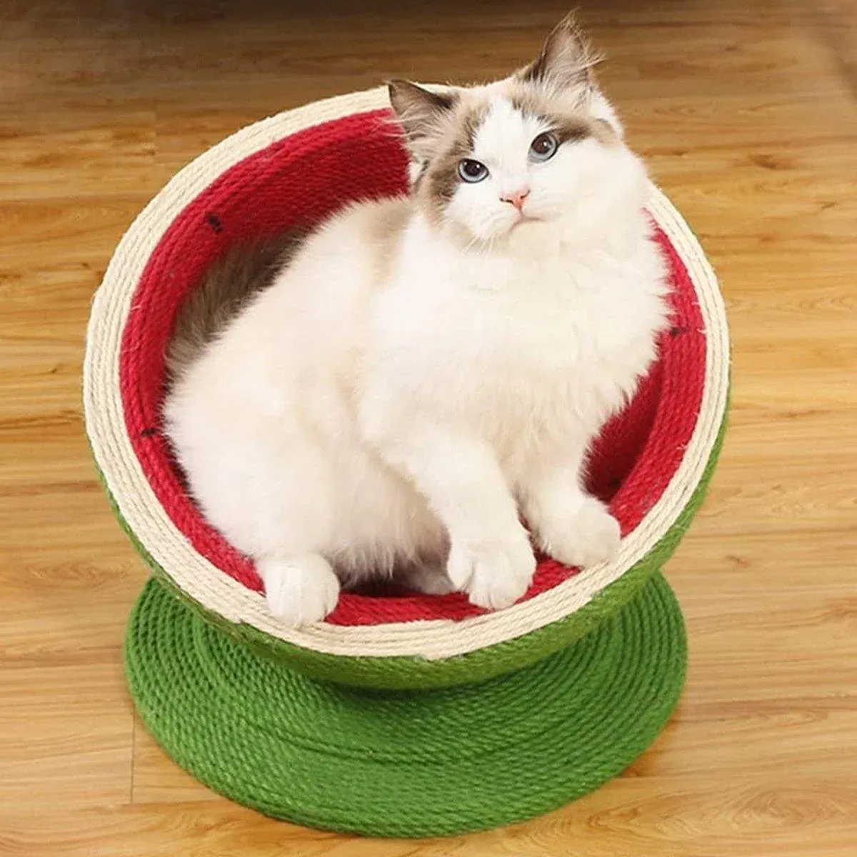 Watermelon Cat Scratcher Bowl – Sisal Scratching Nest 9 Watermelon Cat Scratching Pot Board All in One Scratcher Toy for Cats Kitten – photo 9