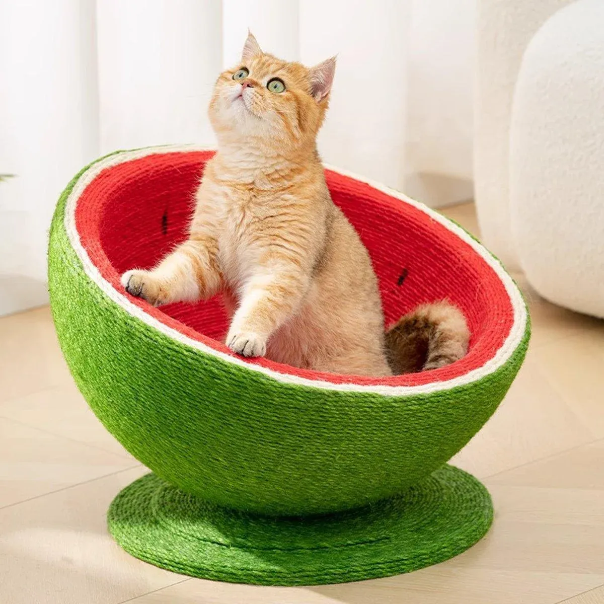 Watermelon Cat Scratcher Bowl – Sisal Scratching Nest 11 Watermelon Cat Scratching Pot Board All in One Scratcher Toy for Cats Kitten – photo 11