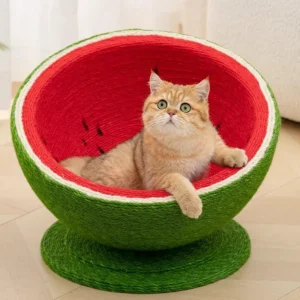 Watermelon Cat Scratching Pot Board All in One Scratcher Toy for Cats Kitten – photo 12
