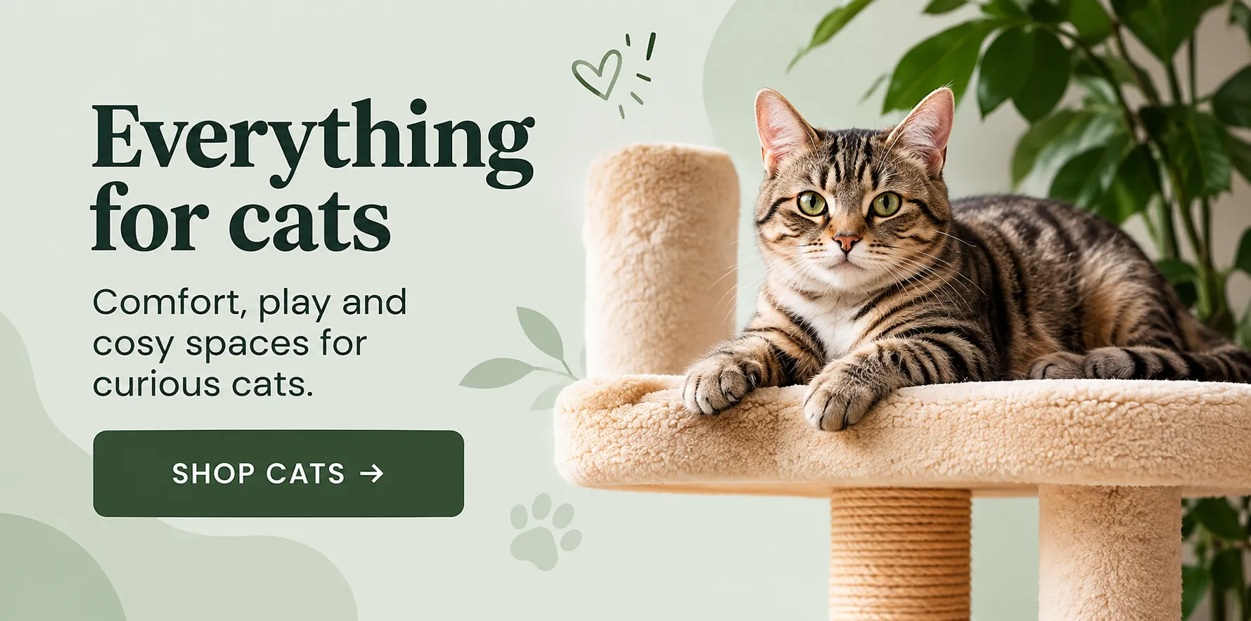 Cats Products Cats Products