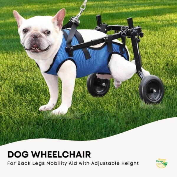 Rooster Farms Little Dog Wheelchair XS Harness - Adjustable Back Leg Aid – photo 4