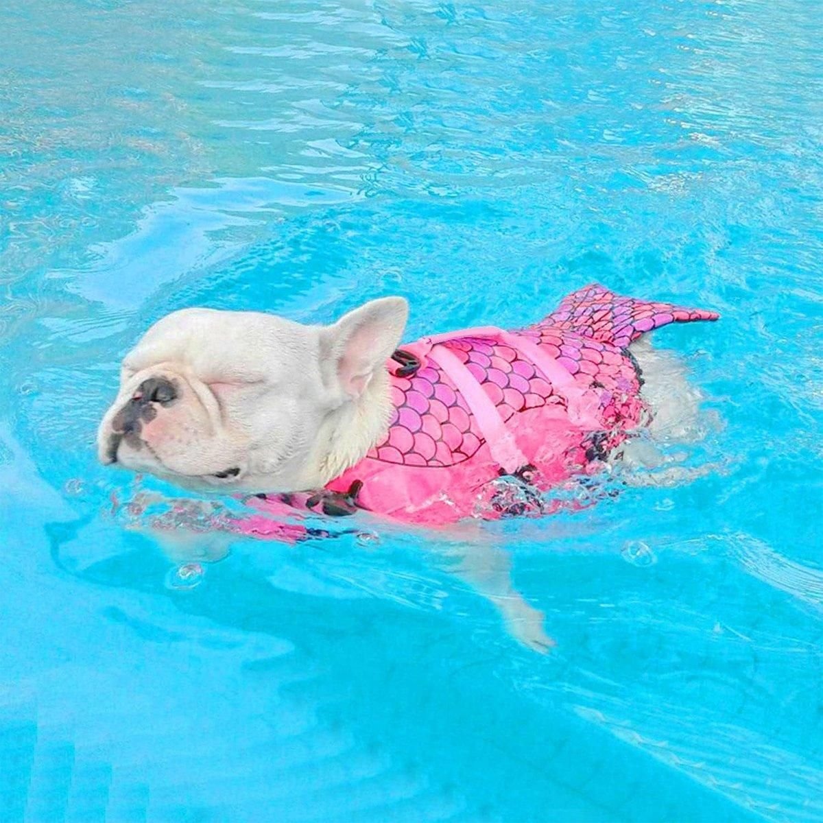 Dog Life Jacket for Swimming - Adjustable Pet Swim Vest 11 Pet Life Jacket Dog Swim Vest Outdoor Water Gear for Summer Swimming Activities - Grey L – photo 12