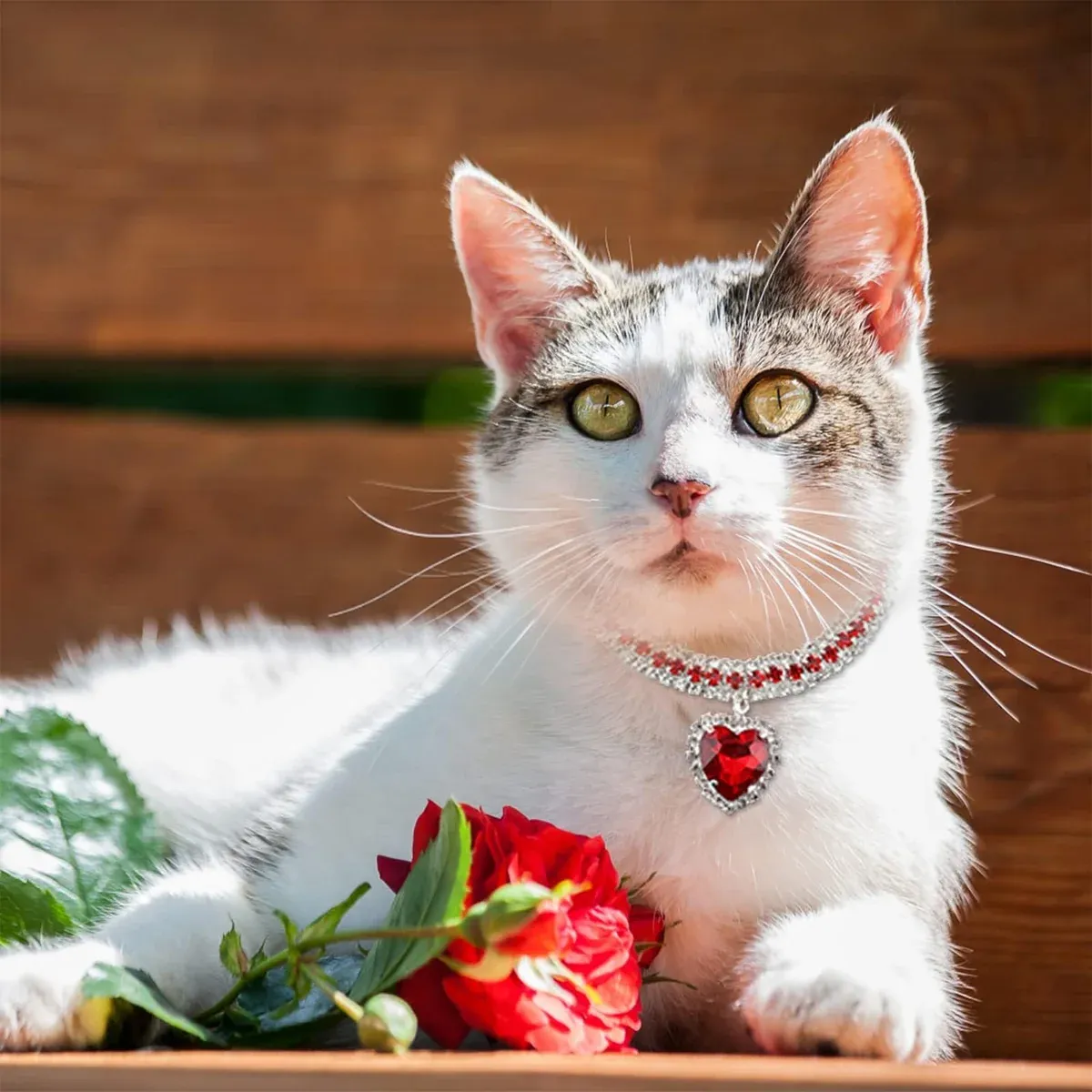 Rhinestone Pet Collars 4-Pack for Cats & Small Dogs 7 Pet Rhinestone Collar 4PCS Heart Pendant Cat Dog Adjustable 16.5-26cm – photo 7