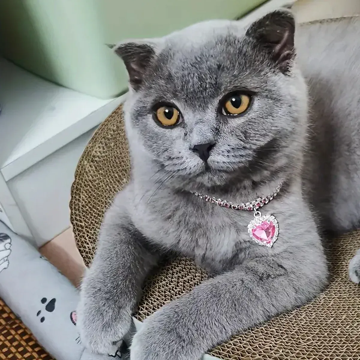 Rhinestone Pet Collars 4-Pack for Cats & Small Dogs 9 Pet Rhinestone Collar 4PCS Heart Pendant Cat Dog Adjustable 16.5-26cm – photo 9