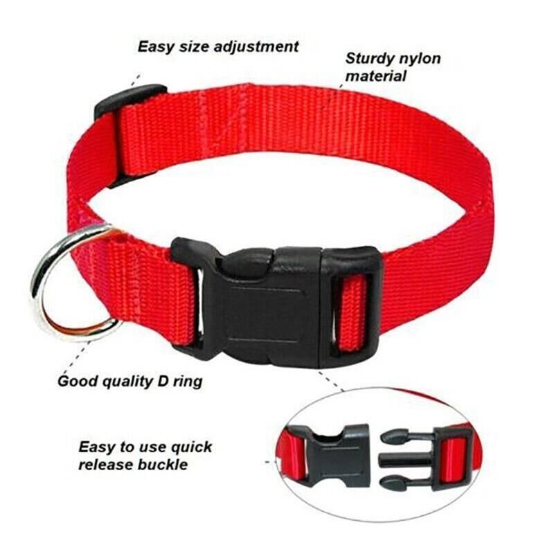 Size Adjustable Nylon Dog Collar - 5 Colours 4 S Size Dog Puppy Pet Collar Adjustable Nylon Toy Small Pink Blue Red Black - Grey – photo 4