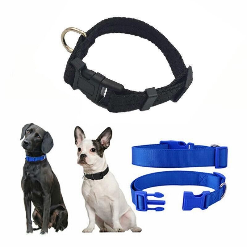Size Adjustable Nylon Dog Collar - 5 Colours 1 S Size Dog Puppy Pet Collar Adjustable Nylon Toy Small Pink Blue Red Black - Grey – photo 8