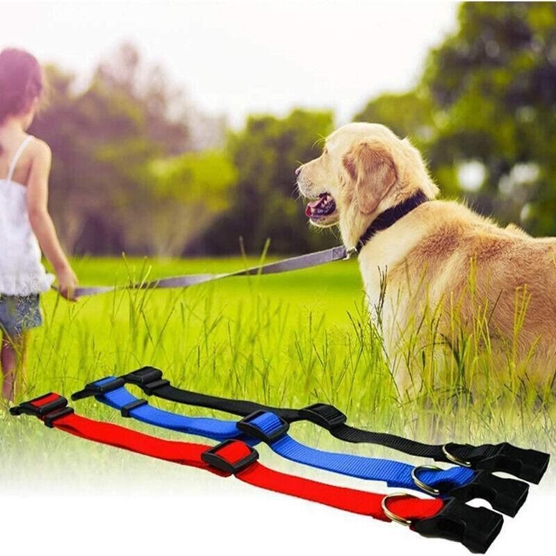 Size Adjustable Nylon Dog Collar - 5 Colours 12 S Size Dog Puppy Pet Collar Adjustable Nylon Toy Small Pink Blue Red Black - Grey – photo 13