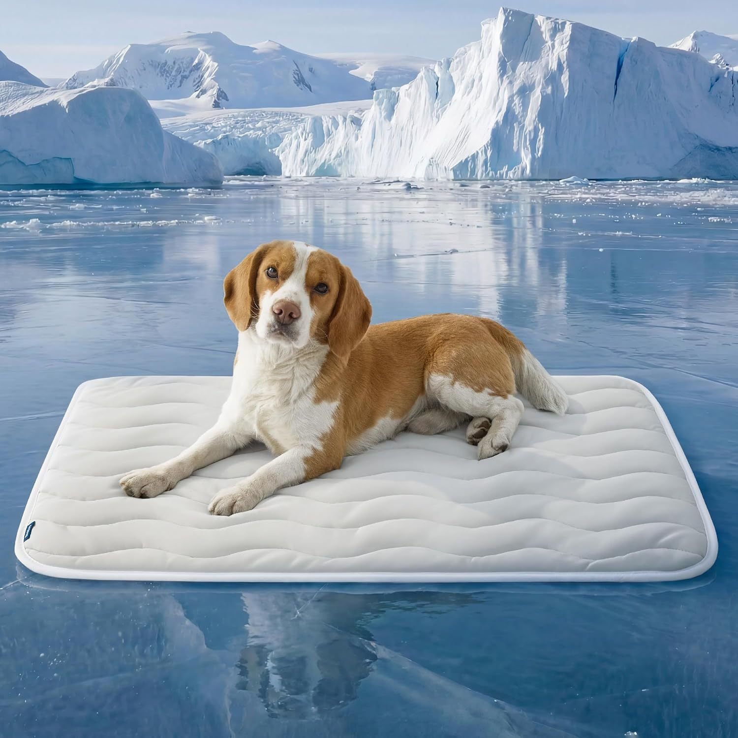Dog Cooling Mat | Washable Self Cooling Pet Bed 1 150 x 101 CM Grey Premium Wave Quiltied Pet Cooling Mat - Washable Self-Cooling Blanket with Anti-Stick Hair Surface & Non-Slip Base for Cats Dogs and Human Versatile Use