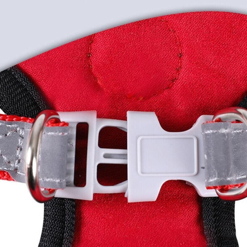 Adjustable Mesh Dog Harness Vest with Leash 5 Dog Harness Cat Lead Puppy Leash Vest Mesh Breathe Adjustable Braces Small Pet Pink - M – photo 5