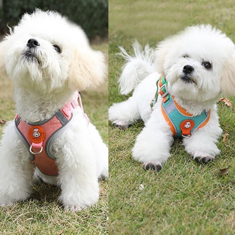Adjustable Mesh Dog Harness Vest with Leash 9 Dog Harness Cat Lead Puppy Leash Vest Mesh Breathe Adjustable Braces Small Pet Pink - M – photo 9