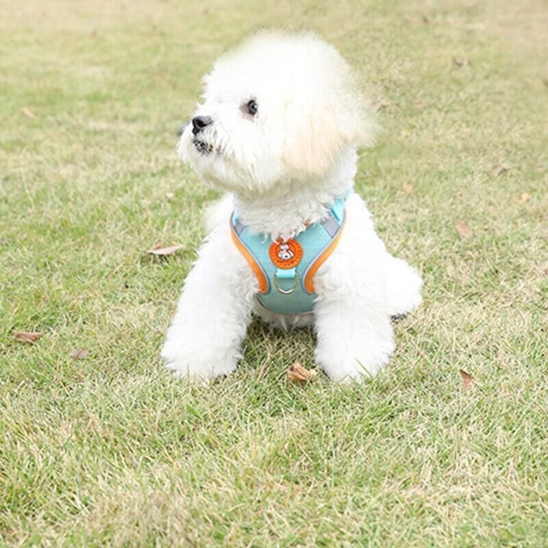 Adjustable Mesh Dog Harness Vest with Leash 11 Dog Harness Cat Lead Puppy Leash Vest Mesh Breathe Adjustable Braces Small Pet Pink - M – photo 11