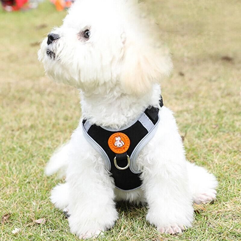 Adjustable Mesh Dog Harness Vest with Leash 12 Dog Harness Cat Lead Puppy Leash Vest Mesh Breathe Adjustable Braces Small Pet Pink - M – photo 12