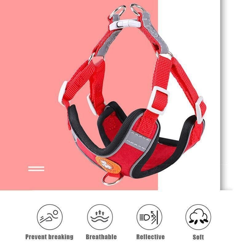 Adjustable Mesh Dog Harness Vest with Leash 13 Dog Harness Cat Lead Puppy Leash Vest Mesh Breathe Adjustable Braces Small Pet Pink - M – photo 14