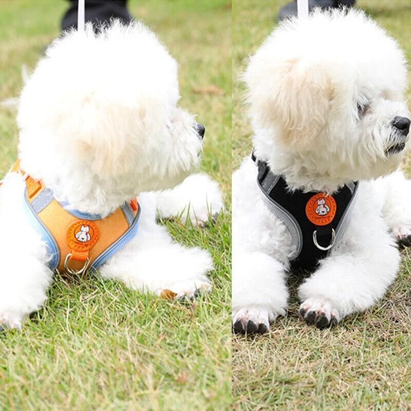 Adjustable Mesh Dog Harness Vest with Leash 14 Dog Harness Cat Lead Puppy Leash Vest Mesh Breathe Adjustable Braces Small Pet Pink - M – photo 15